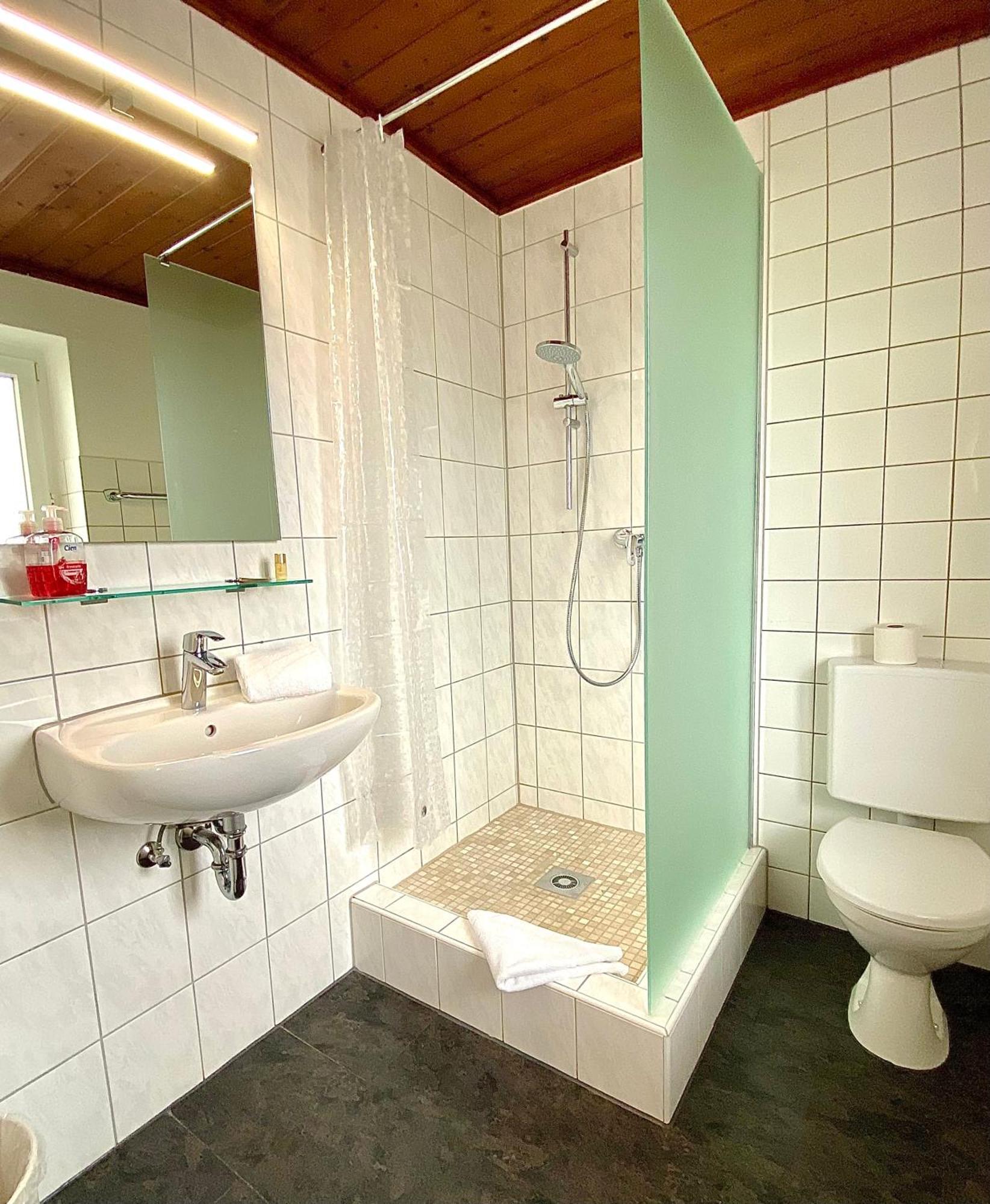 Hotel Gasthof Rose Γκούνζμπουργκ Εξωτερικό φωτογραφία
